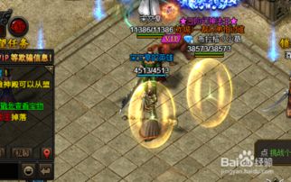 網頁游戲《藍月傳奇》倉庫密碼設置指南